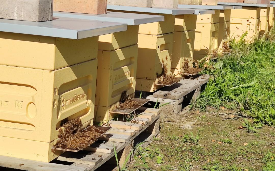Ground source heating for a bee farm